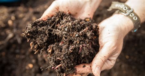 Free compost, gardening tutorials at Dirt Day | PhillyVoice