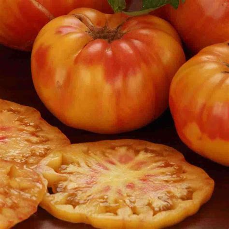 BIG RAINBOW Tomato seeds | Most Popular Seeds