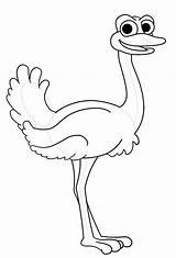 Cartoon Of An Ostrich Coloring Page  Color Luna Pages sketch template