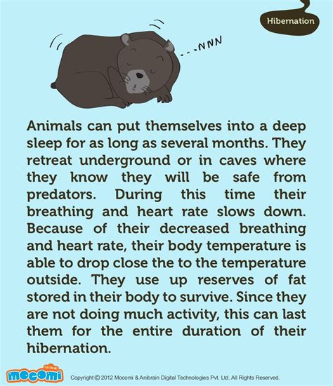 Interesting Facts about Hibernation - Mocomi.com