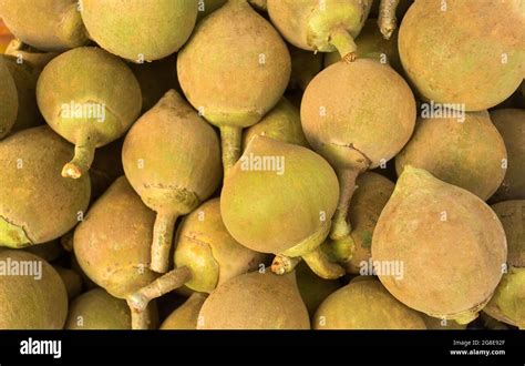 Quararibea cordata - Sapote fruit in the traditional Colombian market Stock Photo - Alamy