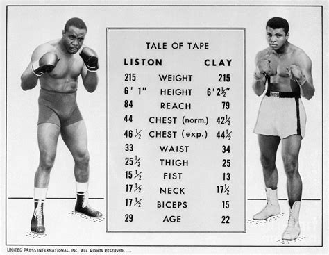 Sonny Liston And Muhammad Ali Statistics by Bettmann