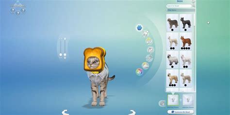 The Sims 4 Cats & Dogs: More About Clothing Options