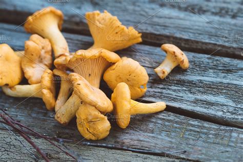 Handful of fresh chanterelles mushrooms on an old gray rustic table ...