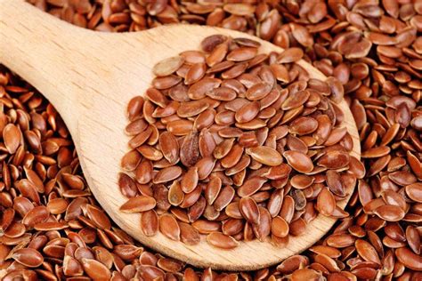 ஆளி விதை செய்யும் அற்புதங்கள்! | Benefits of Flax Seeds in Tamil