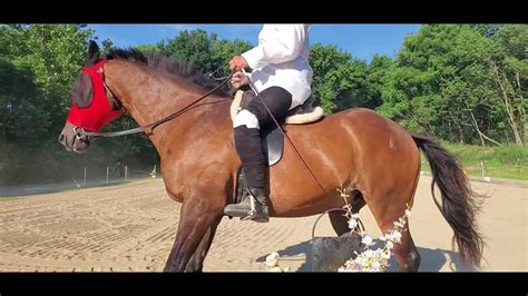 "My Favorite Things" in the Saddle Song - YouTube