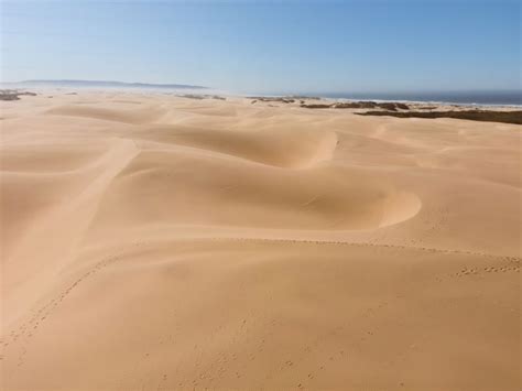 Pismo Beach Sand Dunes: The Essential Guide to Visiting Oceano Dunes