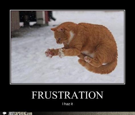 Funny Frustration Quotes. QuotesGram