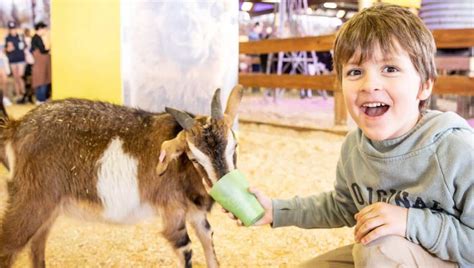 Ekka Animals: 10,000 Reasons to Visit the Royal Show