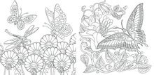 Flower Outline Coloring Page Free Stock Photo - Public Domain Pictures
