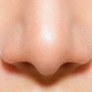 Human nose PNG