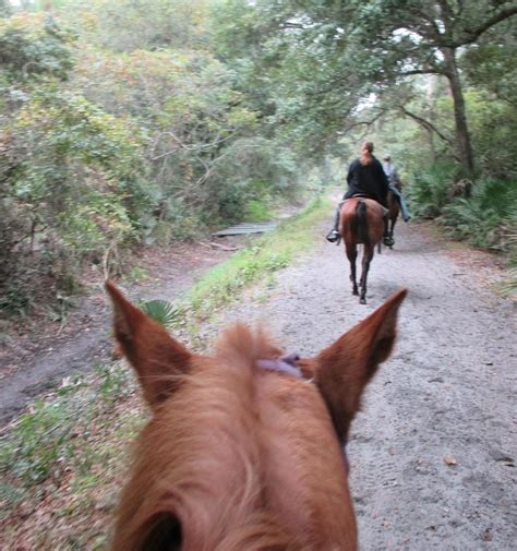 FLORIDA HORSEBACK TRAIL RIDES (2024) All You Need to Know BEFORE You Go ...