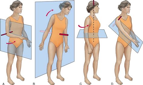 1. Basic Kinesiology Terminology | Musculoskeletal Key