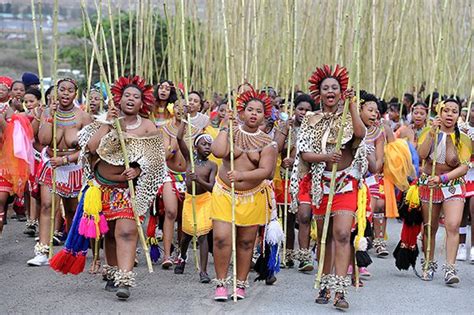 SABC to broadcast Zulu reed dance