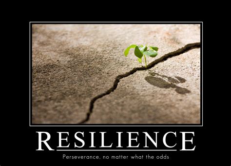 Funny Quotes On Resilience. QuotesGram