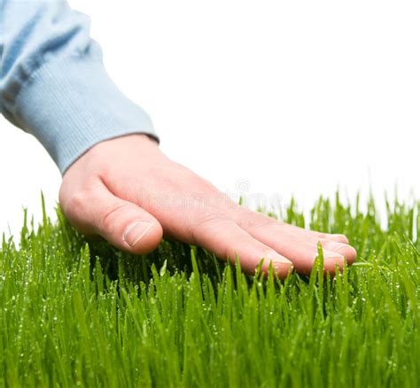 2,594 Hand Touching Grass Photos - Free & Royalty-Free Stock Photos from Dreamstime