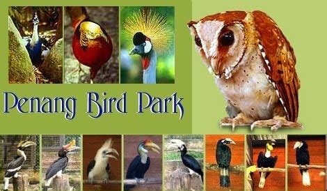 Interesting Places In Malaysia: Penang Bird Park|Pulau Pinang|Malaysia