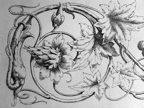 Pin by Aurelie Last Name on Rococo Tattoo Inspiration | Ornament drawing, Art nouveau ...
