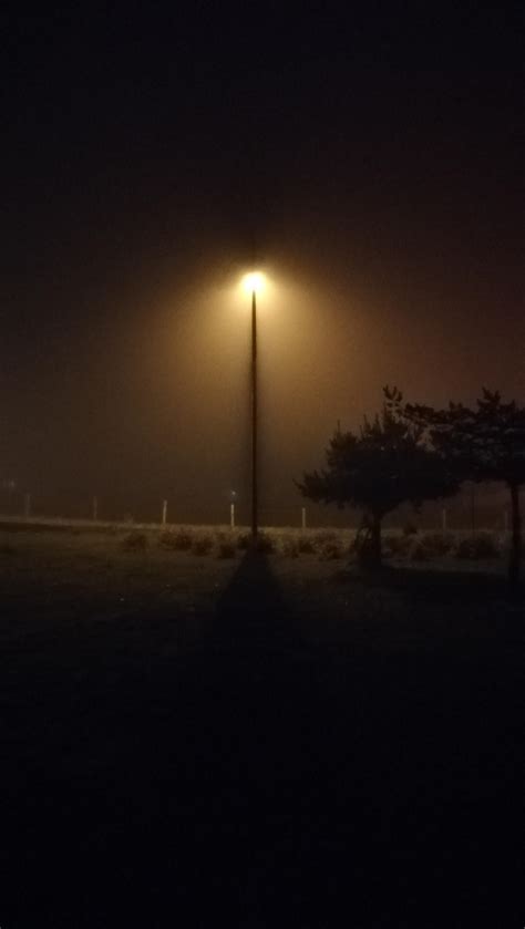 This light pole in the fog that looks like a crack in time and space. : r/mildlyinteresting