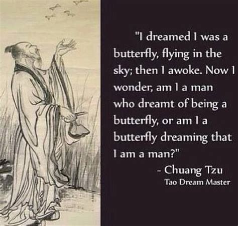 Butterfly or Human???? | Zen quotes, Chuang tzu, Quotes