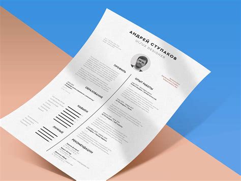 Indesign Cv Template