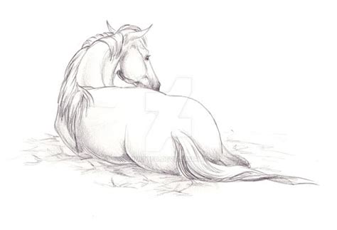 Resting Horse by lunatteo on DeviantArt