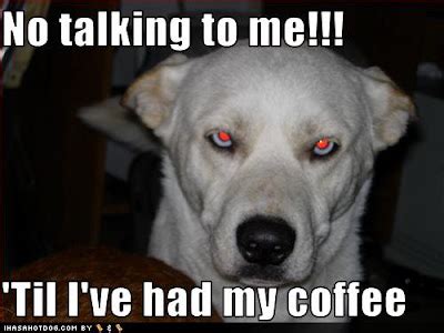 funny+talking+dogs-5.jpg (400×300) | Funny talking dog, Funny animal jokes, Cute animals with ...