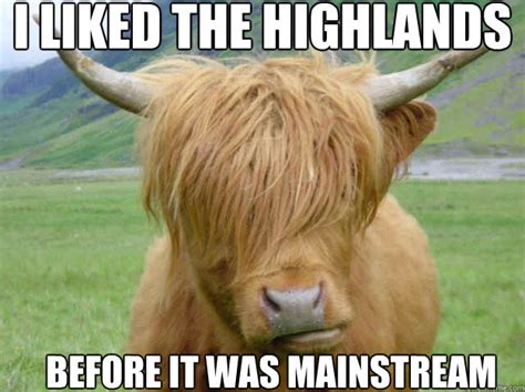 I liked the highlands Before it was mainstream - Hipster Cow - quickmeme