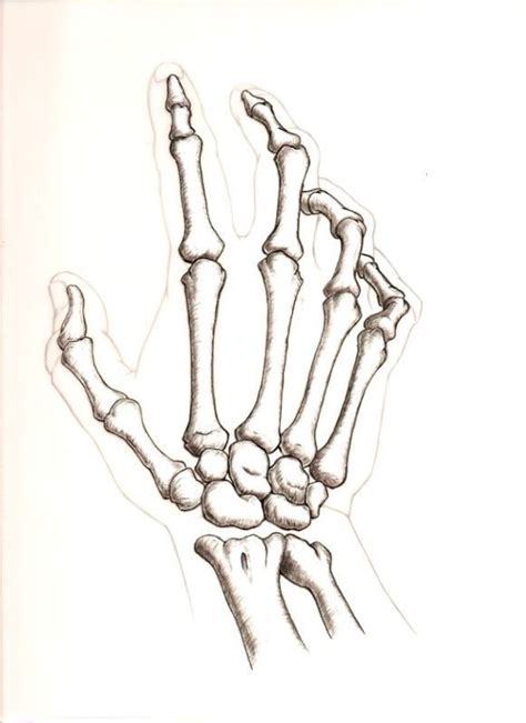 Résultats de recherche d'images pour « dessin squelette main » | Skeleton hands drawing, Skulls ...