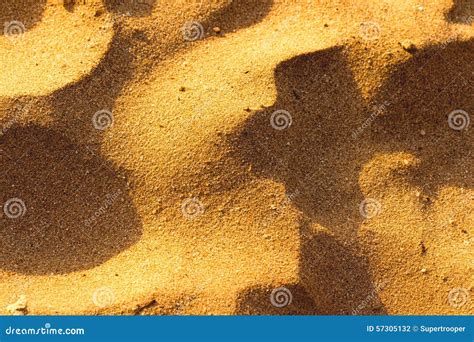 Desert Sand Pattern Texture Stock Photo - Image of hammada, dene: 57305132