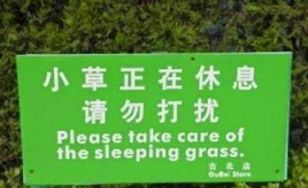 Top 15 Funny English Signs | Funny Collection World