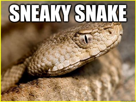 Sneaky snake - Sneaky Snake - quickmeme