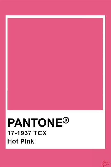 Pantone Hot Pink #pantone #color #hotpink | Pantone, Tavolozze dei colori, Sfondi a tinta unita