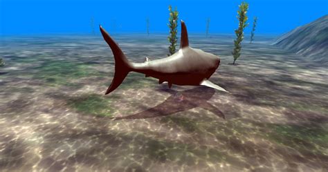 Megalodon the game BrightestGames.com | Megalodon shark facts, Shark games, Deadly creatures