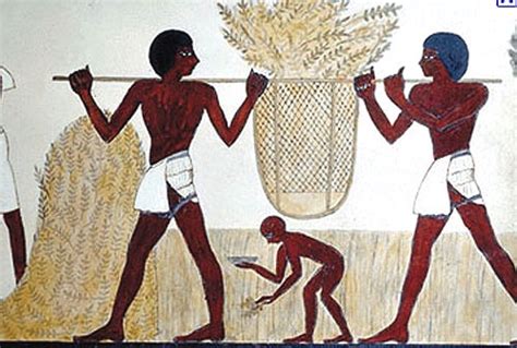 Wheat farming. | Egypt, Ancient egyptian art, Ancient egypt