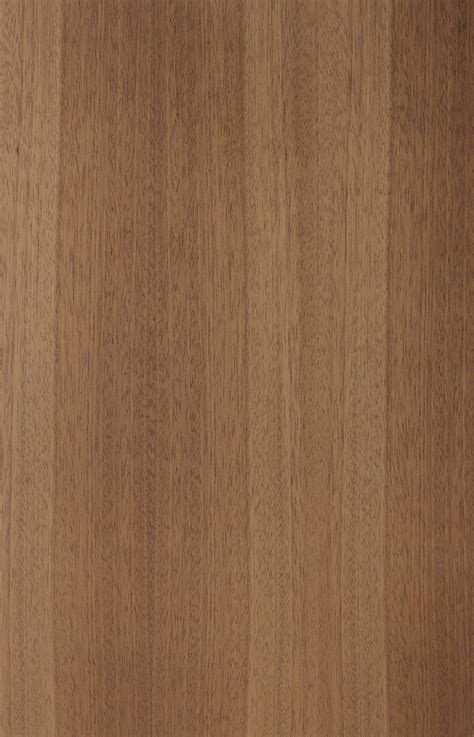 Light Cocobolo | Veneer texture, Wood texture, Wood texture seamless