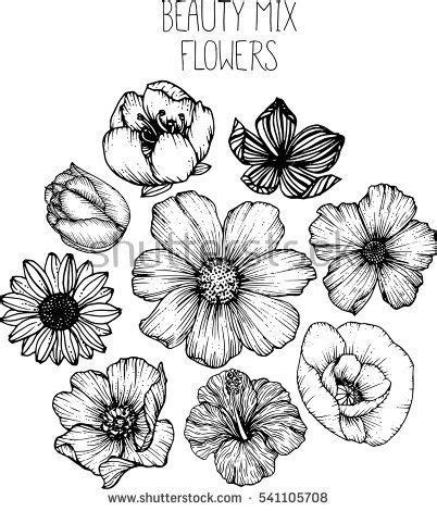 mix flowers drawing vector illustration and clip-art. cherry blossom,cosmos,poppy,hibiscus,tulip ...