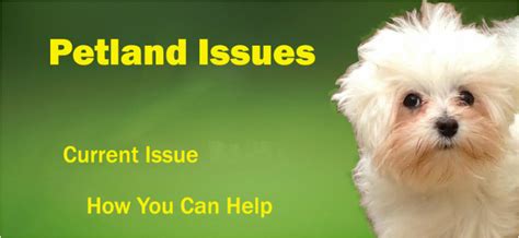 Petland Issue