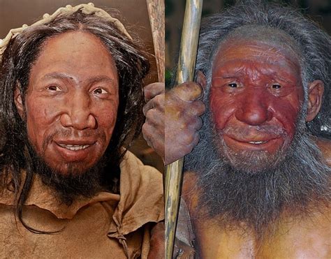 I Neanderthal hanno copiato strumenti da Homo sapiens? | Pikaia