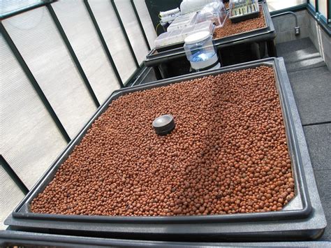 Aquaponics Grow Bed Media 4-16 : Amazon.de: Garten