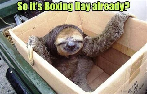 56 Very Funny Boxing Memes