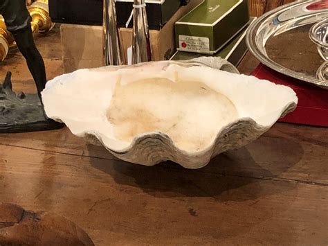 Giant Clam Shell - Shapiro Auctioneers