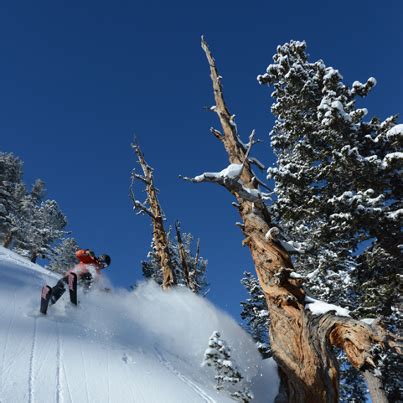 Park City Utah Weather Forecast | Jan 5th - Jan. 11th, 2013