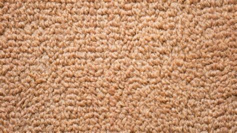 Berber Carpet: Pros And Cons – Forbes Home