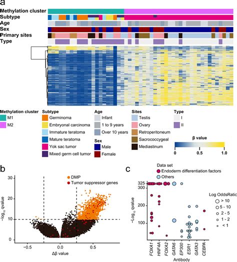 DNA methylation analysis a DNA methylation clustering in 51 GCT samples... | Download Scientific ...