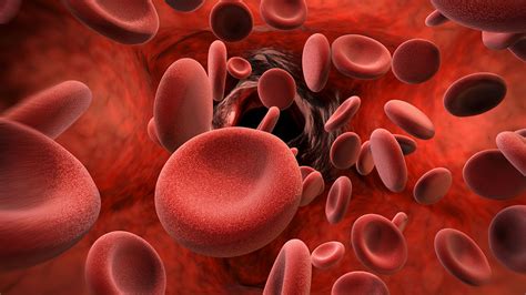 Gene therapy scores success at treating thalassemia | Science | AAAS