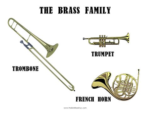 Music in CLIL: Families of musical instruments