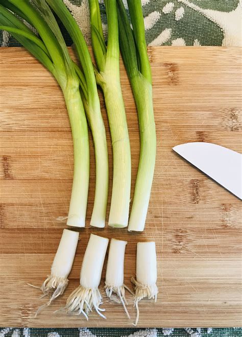 How To Grow Green Onions: A Comprehensive Guide – HomeDecorish