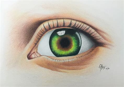 Eyes Drawing Color