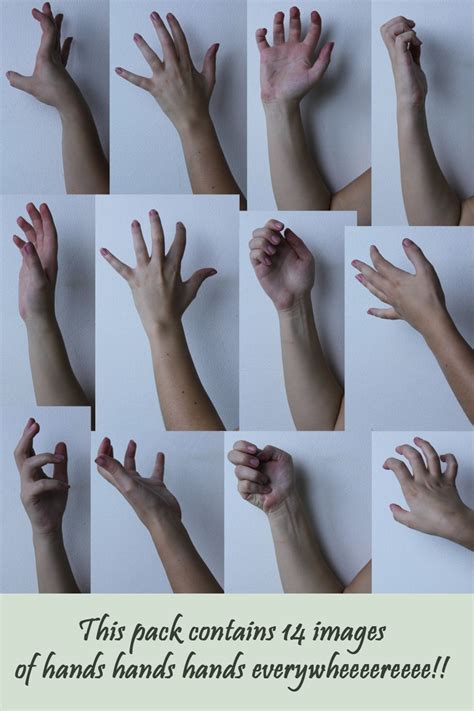 Hand Reference 4 by Tasastock | Hand reference, How to draw hands, Hands